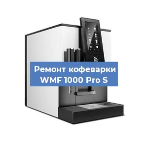 Декальцинация   кофемашины WMF 1000 Pro S в Ростове-на-Дону